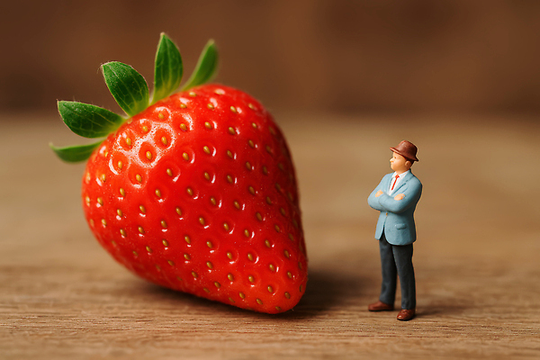 옷 감정 뷰포인트 과일 표정 사람 모형 CG 파일형식 딸기 모델 남자 장면 크기 놀람 정장 식물 오브젝트 미니어처 원근감 컬러 편집실사 편집이미지 JPG