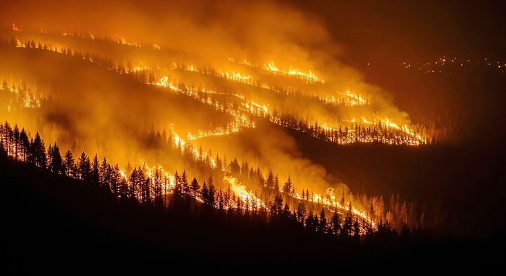 식물 불 야간 사건 CG 재해 화재 파일형식 산불 숲 불꽃 저녁 연기 나무 피해 자연재해 소방 환경 산 긴급 편집실사 JPG 편집이미지