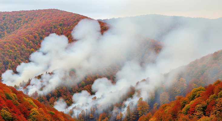 식물 컬러 컨셉 잎 불 날씨 사건 CG 생태계 화재 파일형식 숲 안개 불꽃 나뭇잎 빨간색 자연 고요 변화 풍경 산 나무 연기 환경 편집실사 JPG 편집이미지 재해 산불