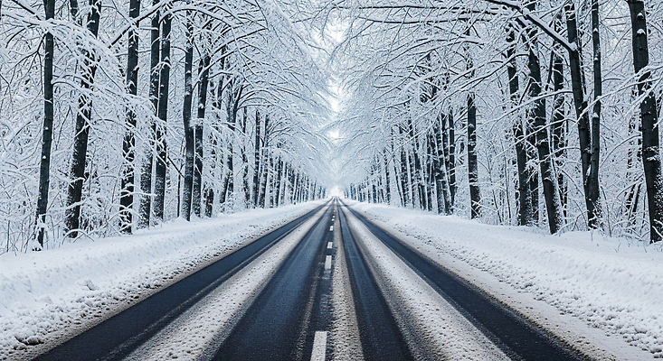 식물 계절 길 육상교통 컨셉 교통시설 눈_날씨 운전 CG 생태계 교통안전 파일형식 겨울 도로 나무 풍경 고요 차선 이동 자연 눈꽃 상록수 여행 편집실사 JPG 편집이미지 자동차 눈길운전 눈길 블랙아이스 안전운전