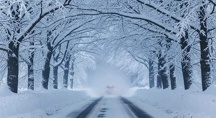 식물 계절 길 육상교통 교통시설 휴식 눈_날씨 운전 도시 CG 생태계 교통안전 파일형식 겨울 도로 자동차 나무 풍경 고요 자연 산책 여행 하늘 날씨 도심 편집실사 JPG 편집이미지 눈길운전 눈길 블랙아이스 안전운전
