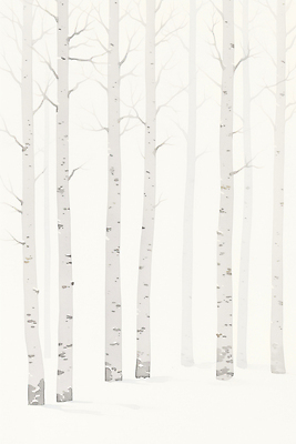 주간 나무 식물 계절 길 컬러 숲 생태계 자작나무 파일형식 겨울 고요 자연 풍경 아침 흰색 산책로 차가움 조용 나뭇가지 수목 열매 국내일러스트 일러스트 JPG 자작나무숲