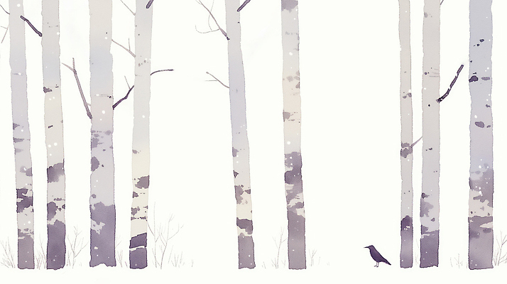 주간 나무 식물 동물 계절 컬러 컨셉 조류 숲 생태계 자작나무 파일형식 까마귀 겨울 조용 자연 풍경 차가움 아침 신선 흰색 회색 조화 평화 고요 국내일러스트 일러스트 JPG 자작나무숲