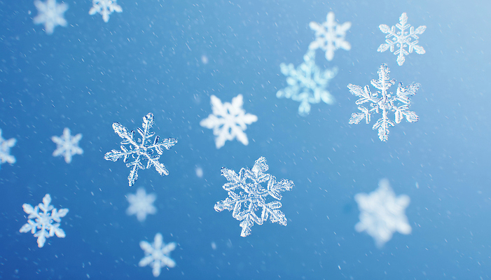 자연요소 편집이미지 계절 모션 날씨 눈_날씨 감각 생태계 파일형식 눈송이 겨울 하늘 자연 부드러움 흩날리기 얼음 맑음 풍경 차가움 JPG 이미지편집