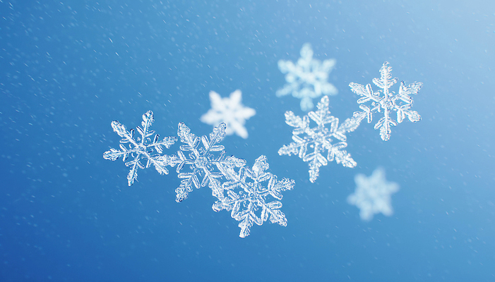 편집이미지 계절 컨셉 겨울 눈_날씨 풍경 생태계 파일형식 눈송이 하늘 자연 우아함 떨어짐 순간 겨울풍경 눈꽃 날씨 JPG 이미지편집