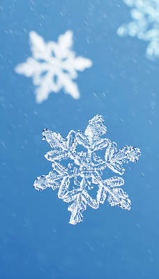 자연요소 편집이미지 계절 눈_날씨 생태계 파일형식 눈꽃 겨울 자연 고요 날씨 얼음 수분_꽃가루 결정체 차가움 빛 풍경 JPG 눈송이 이미지편집