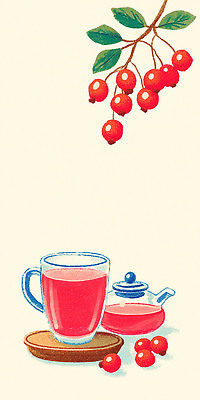 JPG 디자인 열매 여유 음료 컬러 일러스트 자연 탁자 가지 실내 따뜻함 일상 편안함 찻주전자 사색 순간 오후 국내일러스트 AI일러스트 AI콘텐츠 식물 감정 가구 생각 채소 주전자 내부 라이프 감각 생태계 파일형식