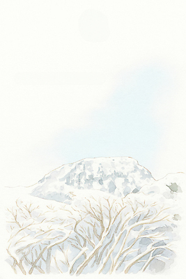 JPG 나무 설경 겨울 일러스트 자연 산 한국 풍경 제주도 고요 일몰 흰색 눈 숲 조용 한라산 서귀포 풍경화 국내일러스트 AI일러스트 AI콘텐츠 자연요소 식물 계절 아시아 컬러 날씨 노을 그림 생태계 파일형식