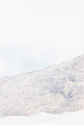 JPG 나무 설경 겨울 일러스트 자연 산 한국 풍경 평화 고요 등산 흰색 눈 겨울여행 한라산 탐방 눈덮임 국내일러스트 AI일러스트 AI콘텐츠 자연요소 식물 계절 아시아 컬러 여행 컨셉 날씨 제주도 트래킹 생태계 파일형식