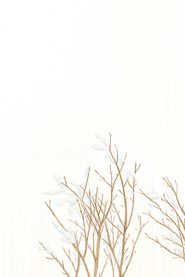 JPG 나무 식물 설경 겨울 일러스트 자연 산 한국 풍경 평화 고요 나뭇가지 눈 한라산 흰눈 겨울풍경 국내일러스트 AI일러스트 AI콘텐츠 자연요소 계절 아시아 컨셉 날씨 눈_날씨 제주도 생태계 파일형식