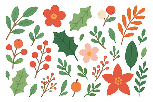 식물 기념일 꽃 컬러 생태계 파일형식 벡터 자연 백그라운드 디자인 초록색 빨간색 분홍색 열매 잎 장식 조화 크리스마스 계절 그림 화초 국내일러스트 AI파일 일러스트 포인세티아 보테니컬아트