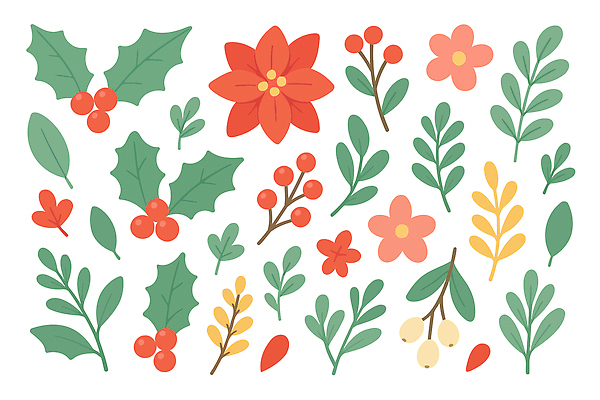 식물 디자인 기념일 꽃 미술 생태계 파일형식 벡터 자연 잎 컬러 그래픽 장식 예술 조화 계절 채색 인테리어 꽃잎 열매 국내일러스트 AI파일 일러스트 포인세티아 보테니컬아트 크리스마스