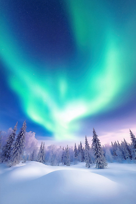 JPG 편집이미지 컬러 겨울 자연 하늘 아이슬란드 풍경 숲 신비 북극 오로라 편집실사 AI컴퓨터그래픽 AI콘텐츠 계절 유럽 컨셉 자연현상 극지방 CG 생태계 파일형식