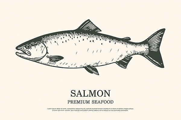 모양 바다 일러스트 자연 생명 형상 어류 수중 수영 수중동물 해산물 그림 생태계 생물학 연어 특징 국내일러스트 AI파일 동물 교육 수상스포츠 파일형식 벡터