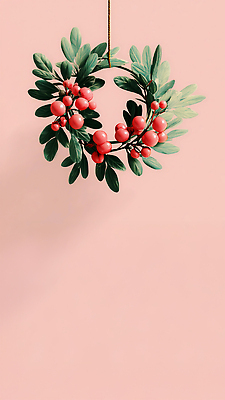 JPG 식물 계절 열매 꽃 분홍색 잎 크리스마스 겨울 일러스트 자연 주택 장식 빨간색 초록색 인테리어 화환 분위기 국내일러스트 디자인 기념일 컬러 컨셉 건물 생태계 파일형식