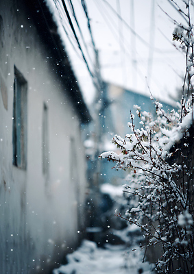 JPG 나무 편집이미지 겨울 자연 하늘 날씨 거리 주택 풍경 전선 도시 보행로 골목길 차가움 서리 편집실사 AI포토 식물 계절 길 건물 CG 생태계 파일형식 AI콘텐츠