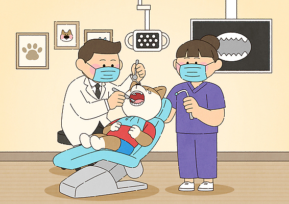 동물 일러스트 의학 의료기기 털 건강 치료 반려동물 환자 간호사 의사 개 이 검사_조사 예방 클리닉 동물병원 수의사 소통 펫케어 안락 국내일러스트 AI파일 컨셉 포유류 병원 관리 의료진 해충 파일형식 벡터