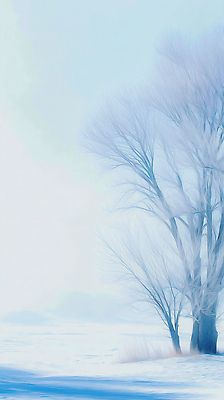 JPG 나무 계절 겨울 일러스트 자연 하늘 가지 바닥 풍경 야외 환경 고요 공간 나뭇가지 차가움 숲 수목 국내일러스트 AI일러스트 AI콘텐츠 식물 채소 생태계 파일형식