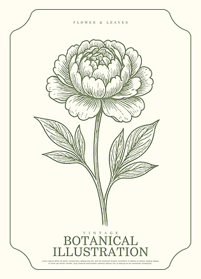 식물 디자인 꽃 예술 백그라운드 잎 일러스트 자연 생명 그래픽 표현 빈티지 색칠 그리기 드로잉 작약 국내일러스트 AI파일 컨셉 모션 미술 생태계 파일형식 벡터