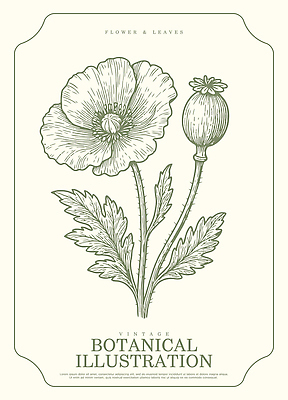 식물 전통 디자인 꽃 예술 선 잎 일러스트 도안 자연 씨앗 빈티지 그림 양귀비 국내일러스트 AI파일 컨셉 생태계 파일형식 벡터