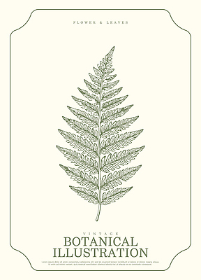 모양 나무 식물 디자인 예술 잎 일러스트 자연 생명 미술 근접촬영 장식 초록색 표현 빈티지 그림 고사리 테마 국내일러스트 AI파일 뷰포인트 컬러 컨셉 채소 문화예술 생태계 파일형식 벡터