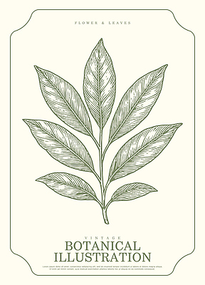 식물 디자인 잎 패턴 일러스트 자연 장식 스크린 빈티지 스케치 허브 그림 드로잉 디테일 국내일러스트 AI파일 컨셉 무늬 미술 생태계 파일형식 벡터