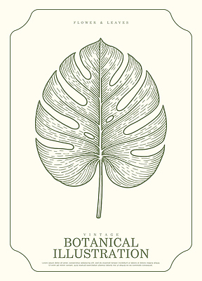 식물 디자인 예술 선 일러스트 자연 나뭇잎 수채화 장식 초록색 빈티지 인쇄 그림 몬스테라 벽장식 창의력 국내일러스트 AI파일 컬러 컨셉 잎 생태계 파일형식 벡터