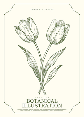 식물 디자인 꽃 화초 줄기 잎 일러스트 도안 자연 장식 튤립 빈티지 그림 원예 조화 벽장식 국내일러스트 AI파일 컨셉 취미 생태계 파일형식 벡터