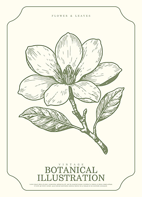 식물 디자인 꽃 예술 줄기 잎 일러스트 자연 생명 미술 빈티지 그림 원예 식물원 목련 디테일 국내일러스트 AI파일 컨셉 문화예술 취미 생태계 파일형식 벡터