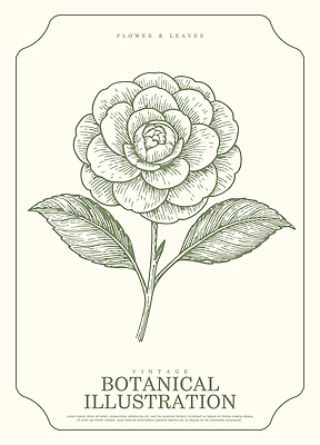 식물 디자인 꽃 예술 잎 일러스트 자연 그래픽 장식 빈티지 원화 크기 작가 그림 국내일러스트 AI파일 직업 컨셉 돈 생태계 파일형식 벡터