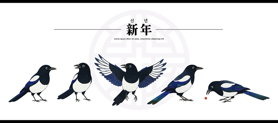 PSD 동물 전통 감정 문화 날개 일러스트 모션 조류 새해 기념 풍경 이벤트 축제 비행 먹이 즐거움 그림 까치 국내일러스트 파일형식