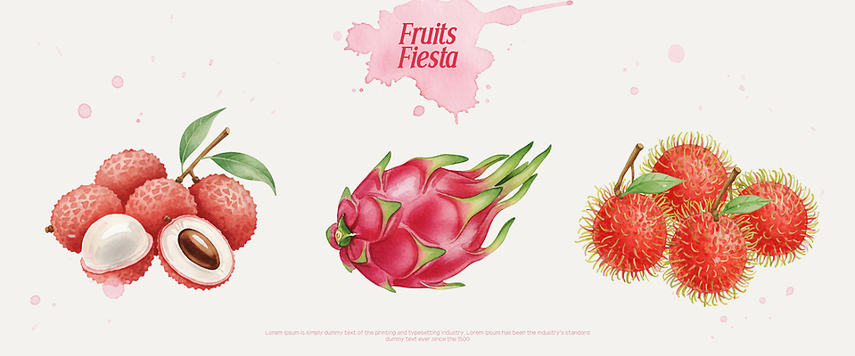 PSD 컬러 과일 일러스트 탁자 디저트 열대 종류 식사 샐러드 신선 맛 생과일 용과 람부탄 리치 먹거리 국내일러스트 음식 가구 컨셉 열대과일 파일형식