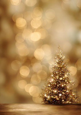 JPG 편집이미지 백그라운드 크리스마스 겨울 장식 빛 크리스마스트리 파티 축제 전시 기쁨 모임 금색 분위기 장면 환영 편집실사 AI포토 AI콘텐츠 계절 기념일 감정 컬러 컨셉 이벤트 CG 파일형식