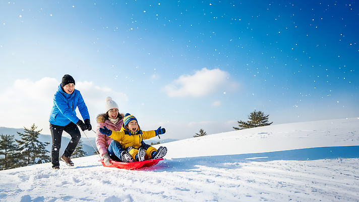 JPG 나무 편집이미지 행복 어린이 겨울 가족 모션 자연 놀이 하늘 언덕 즐거움 썰매 눈싸움 의료성형뷰티 편집실사 AI인물포토 AI콘텐츠 식물 계절 감정 관계 눈_날씨 사람 CG 생태계 싸움 파일형식 AI포토