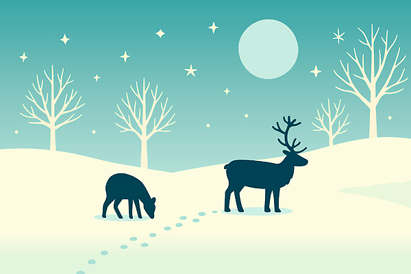 식물 동물 별 백그라운드 겨울 일러스트 자연 하늘 사슴 산 풍경 평화 환경 달 시골 숲 지역 겨울배경 국내일러스트 AI파일 자연요소 계절 컨셉 포유류 생태계 파일형식 벡터