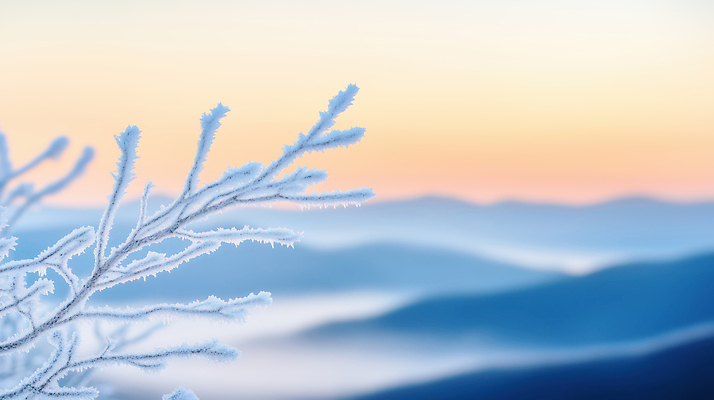 JPG 나무 편집이미지 겨울 자연 하늘 아침 새해 산 눈꽃 풍경 태양 얼음 추위 안개 나뭇가지 숲 지평선 겨울풍경 이미지편집 AI포토 AI콘텐츠 주간 자연요소 식물 계절 날씨 눈_날씨 생태계 파일형식