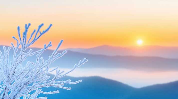 JPG 나무 편집이미지 겨울 자연 하늘 아침 가지 새해 눈꽃 풍경 빛 태양 일출 얼음 안개 나뭇가지 차가움 언덕 지평선 이미지편집 AI포토 AI콘텐츠 주간 자연요소 식물 계절 채소 날씨 눈_날씨 노을 생태계 파일형식