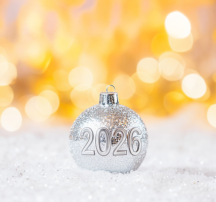 JPG 편집이미지 기념일 크리스마스 겨울 조명 새해 주택 장식 반짝임 축제 눈 설치 연말 오너먼트 2026년 이미지편집 병오년 자연요소 계절 크리스마스장식 모션 날씨 이벤트 건물 연도 파일형식