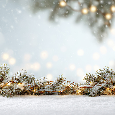 자연요소 나무 계절 기념일 채소 불 날씨 CG 생태계 파일형식 겨울 나뭇가지 빛 장식 크리스마스 불꽃 백그라운드 흐림 점 가지 자연 풍경 따뜻함 편집이미지 JPG 편집실사 조명 눈 보케