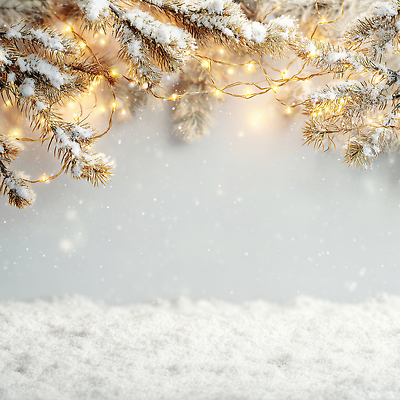 주간 자연요소 식물 계절 기념일 컬러 채소 날씨 CG 생태계 파일형식 나무 겨울 조명 가지 풍경 크리스마스 장식 빛 흰색 따뜻함 자연 소리 아침 조용 편집이미지 JPG 편집실사 눈 보케