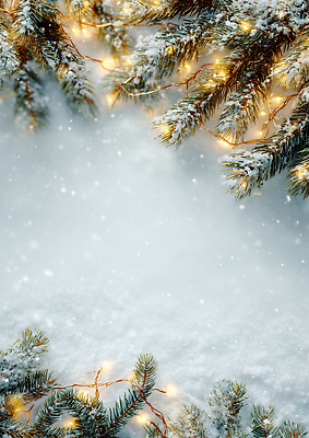 자연요소 식물 계절 기념일 채소 모션 날씨 눈_날씨 CG 생태계 파일형식 겨울 나무 조명 눈송이 가지 반짝임 차가움 자연 장식 장면 야외 휴일 크리스마스 편집이미지 JPG 편집실사 눈 보케