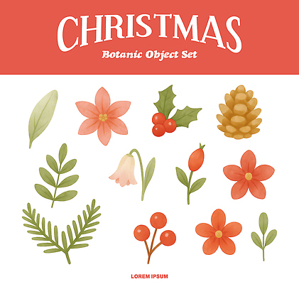 식물 디자인 기념일 꽃 생태계 파일형식 크리스마스 열매 잎 자연 세트 그림 인테리어 보테니컬아트 계절 예술 장식 컬러 잔디 배열 화초 식물원 PSD 국내일러스트 일러스트 포인세티아 수채화