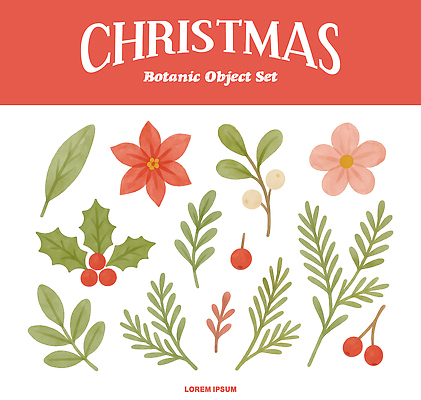 식물 계절 기념일 꽃 컬러 과일 초록색 생태계 파일형식 크리스마스 장식 잎 포인세티아 베리 솔방울 자연 사계절 디자인 잔디 연두색 빨간색 예술 PSD 국내일러스트 일러스트 수채화