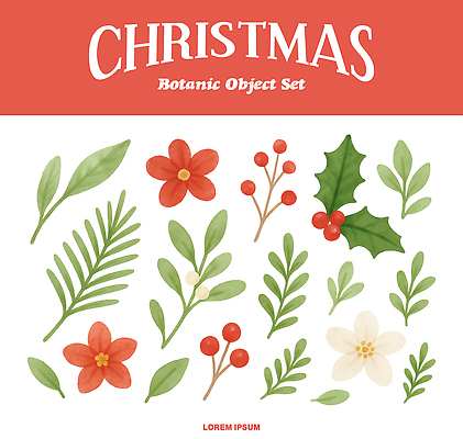 식물 계절 기념일 꽃 컬러 과일 생태계 파일형식 크리스마스 잎 장식 세트 배열 디자인 겨울 자연 포인세티아 초록색 빨간색 베리 PSD 국내일러스트 일러스트 수채화