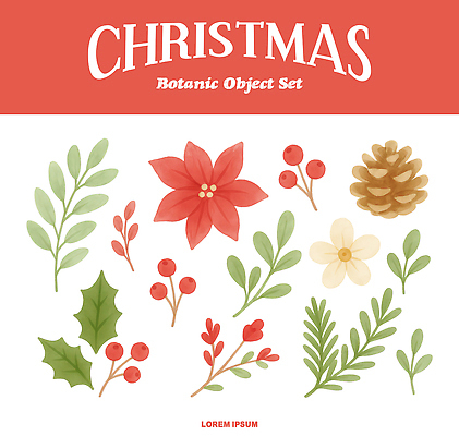 식물 계절 기념일 꽃 크리스마스 취미 생태계 파일형식 열매 솔방울 장식 겨울 자연 잎 크리스마스장식 잔디 화초 나무 원예 PSD 국내일러스트 일러스트 포인세티아 수채화