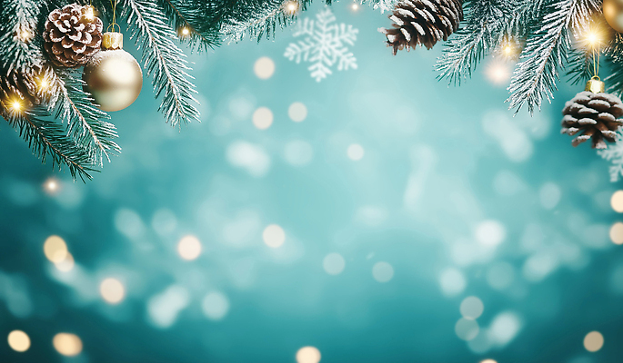 나무 식물 계절 기념일 컬러 컨셉 크리스마스장식 채소 눈_날씨 CG 파일형식 크리스마스 겨울 소나무 장식 금색 눈송이 백그라운드 빛 점 가지 분위기 감정 오브젝트 편집실사 JPG 편집이미지 오너먼트 보케