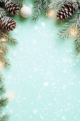 나무 식물 계절 기념일 컬러 크리스마스장식 크리스마스 CG 생태계 파일형식 겨울 장식 민트색 백그라운드 솔방울 나뭇가지 조명 장면 크리스마스트리 자연 편집실사 JPG 편집이미지 오너먼트 보케