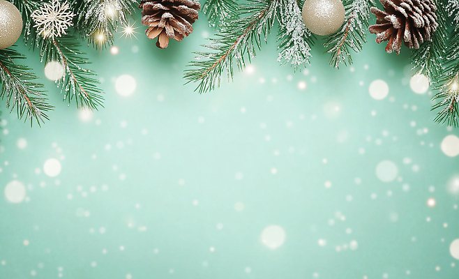 나무 식물 계절 기념일 컨셉 크리스마스장식 눈_날씨 이벤트 CG 파일형식 크리스마스 장식 백그라운드 솔방울 구슬 나뭇가지 눈송이 겨울 축제 파티 오브젝트 축하 편집실사 JPG 편집이미지 오너먼트 보케