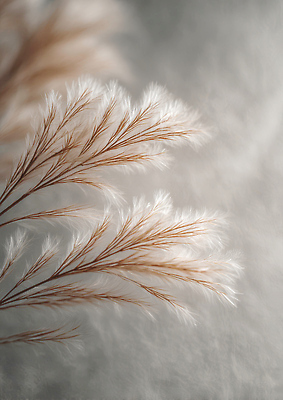 JPG 주간 모양 식물 편집이미지 컬러 백그라운드 자연 촬영 원근감 감각 부드러움 편집실사 자연요소 뷰포인트 CG 생태계 파일형식