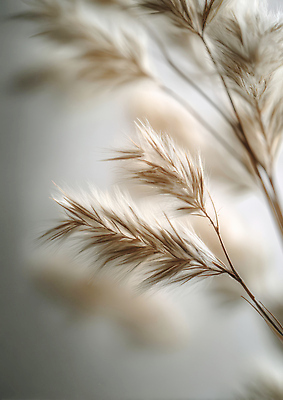 JPG 식물 편집이미지 디자인 벽 잎 자연 실내 일상 장식 질감 편집실사 내부 라이프 CG 생태계 파일형식